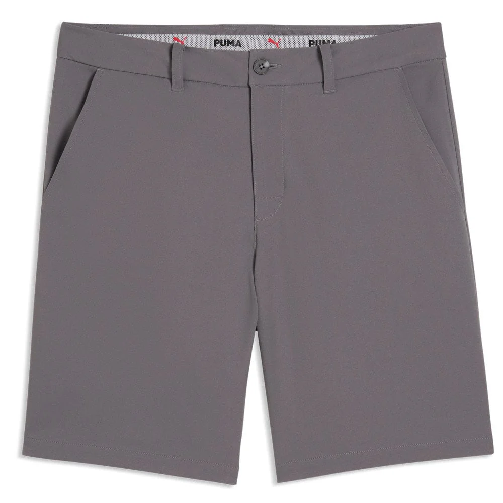 Puma 101 Pure Shorts 8" - Shady Gray