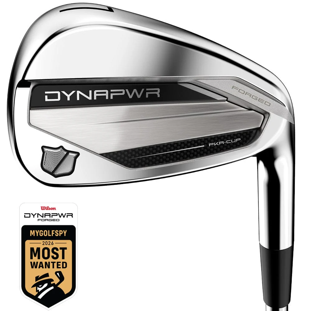 Wilson DYNAPWR Forged Irons - Graphite